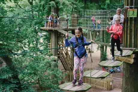 Study Science%2C Maths And English At Go Ape %7C School Travel Ideas And Resources 